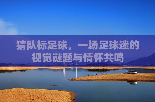 猜队标足球,一场足球迷的视觉谜题与情怀共鸣