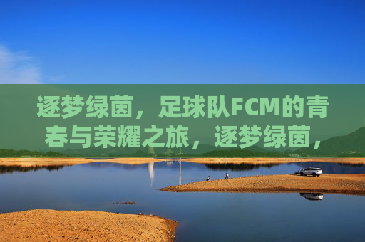 逐梦绿茵，足球队FCM的青春与荣耀之旅，逐梦绿茵，足球队FCM的青春与荣耀之旅