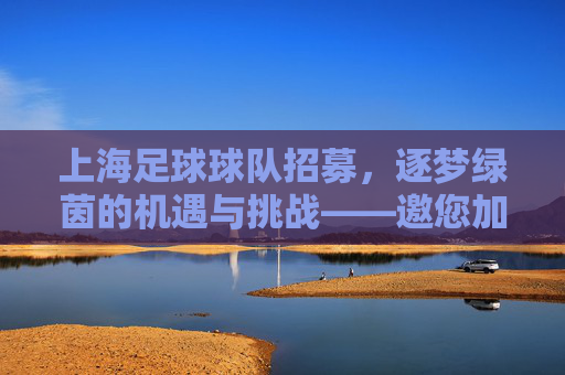 上海足球球队招募,逐梦绿茵的机遇与挑战——邀您加入城市足坛新篇章,上海足球球队招募,逐梦绿茵的机遇与挑战——邀您共谱城市足坛新篇章