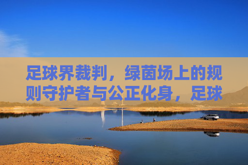 足球界裁判,绿茵场上的规则守护者与公正化身,足球界裁判,绿茵场上的规则守护者与公正化身