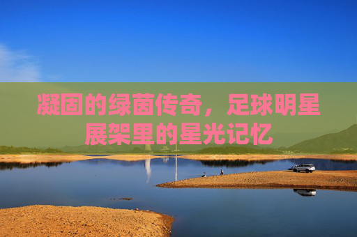 凝固的绿茵传奇,足球明星展架里的星光记忆