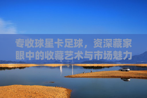 专收球星卡足球,资深藏家眼中的收藏艺术与市场魅力,球星卡足球收藏,资深藏家眼中的艺术与市场魅力