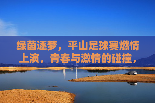 绿茵逐梦，平山足球赛燃情上演，青春与激情的碰撞，绿茵逐梦，平山足球赛燃情上演，青春与激情的碰撞