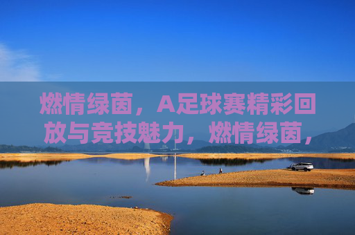 燃情绿茵，A足球赛精彩回放与竞技魅力，燃情绿茵，A足球赛精彩回放与竞技魅力