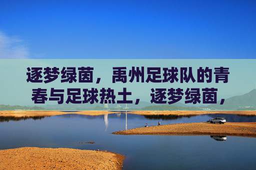 逐梦绿茵，禹州足球队的青春与足球热土，逐梦绿茵，禹州足球队的青春与足球热土