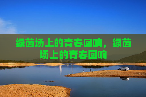 绿茵场上的青春回响，绿茵场上的青春回响