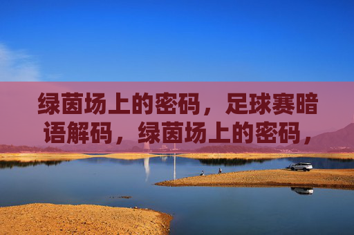 绿茵场上的密码,足球赛暗语解码,绿茵场上的密码,足球赛暗语解码