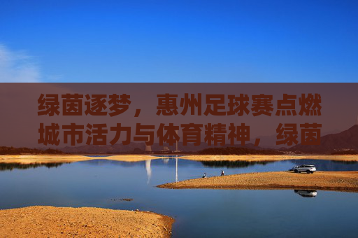 绿茵逐梦，惠州足球赛点燃城市活力与体育精神，绿茵逐梦，惠州足球赛点燃城市活力与体育精神