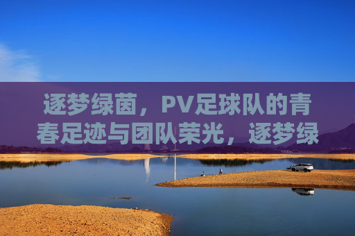 逐梦绿茵，PV足球队的青春足迹与团队荣光，逐梦绿茵，PV足球队的青春足迹与团队荣光