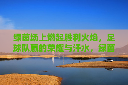 绿茵场上燃起胜利火焰，足球队赢的荣耀与汗水，绿茵场上燃胜利火焰，足球队赢荣耀与汗水