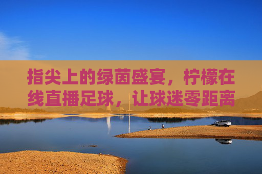 指尖上的绿茵盛宴，柠檬在线直播足球，让球迷零距离沉浸观赛，指尖上的绿茵盛宴，柠檬在线直播足球，让球迷零距离沉浸观赛