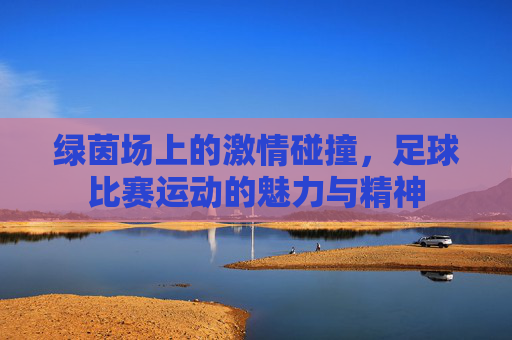 绿茵场上的激情碰撞,足球比赛运动的魅力与精神