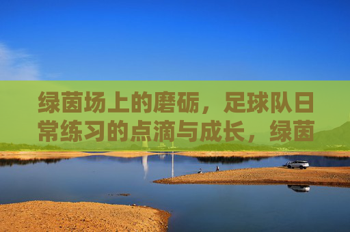 绿茵场上的磨砺，足球队日常练习的点滴与成长，绿茵场上的磨砺，足球队日常练习的点滴成长