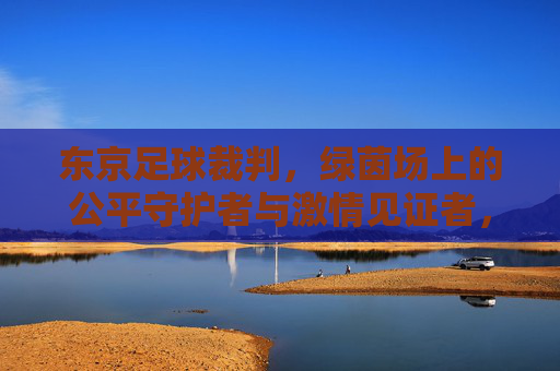 东京足球裁判，绿茵场上的公平守护者与激情见证者，东京足球裁判，绿茵场上的公平守护者与激情见证者