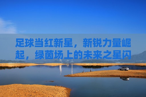 足球当红新星，新锐力量崛起，绿茵场上的未来之星闪耀，足球新锐崛起，当红新星与未来之星闪耀绿茵场