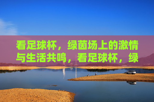 看足球杯，绿茵场上的激情与生活共鸣，看足球杯，绿茵场上的激情与生活共鸣