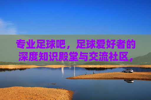 专业足球吧,足球爱好者的深度知识殿堂与交流社区,专业足球吧,足球爱好者的深度知识殿堂与交流社区