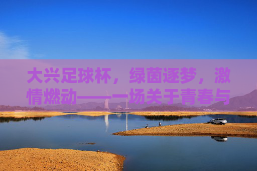 大兴足球杯,绿茵逐梦,激情燃动——一场关于青春与足球的盛会,大兴足球杯,绿茵逐梦,激情燃动——一场关于青春与足球的盛会