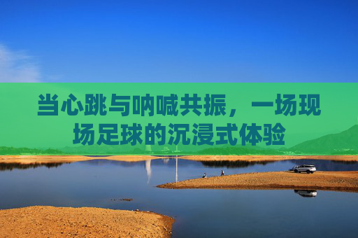 当心跳与呐喊共振,一场现场足球的沉浸式体验