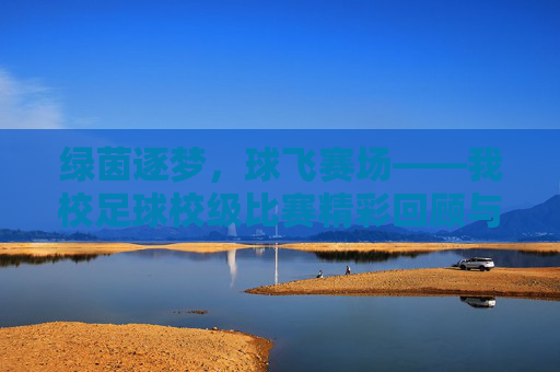 绿茵逐梦,球飞赛场——我校足球校级比赛精彩回顾与感悟