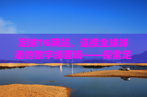 足球TG网站，连接全球球迷的数字绿茵场——探索足坛资讯、互动与社群的新生态