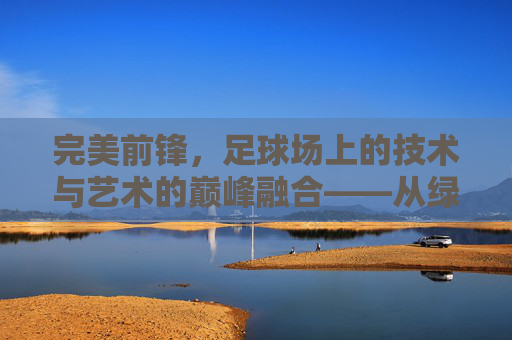 完美前锋,足球场上的技术与艺术的巅峰融合——从绿茵的奔跑到进球的永恒瞬间,完美前锋,足球场上的技术与艺术的巅峰融合——从绿茵的奔跑到进球的永恒瞬间