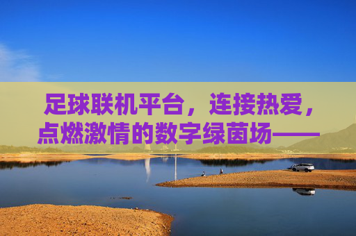 足球联机平台,连接热爱,点燃激情的数字绿茵场——数字时代下的足球体验新范式