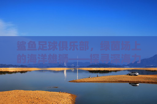 鲨鱼足球俱乐部，绿茵场上的海洋雄狮——探寻深海力量与足球激情的完美融合，鲨鱼足球俱乐部，绿茵场上的海洋雄狮——探寻深海力量与足球激情的完美融合