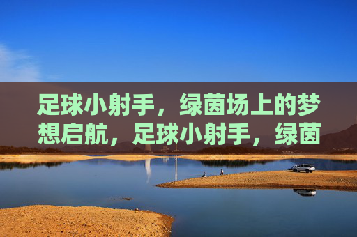 足球小射手，绿茵场上的梦想启航，足球小射手，绿茵场上的梦想启航