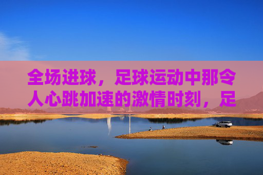 全场进球，足球运动中那令人心跳加速的激情时刻，足球全场进球，心跳加速的激情时刻