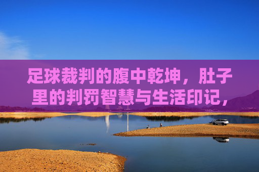 足球裁判的腹中乾坤,肚子里的判罚智慧与生活印记,足球裁判的腹中乾坤,肚子里的判罚智慧与生活印记