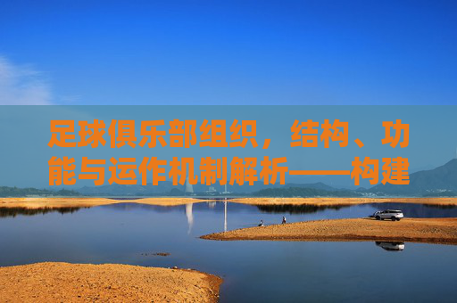 足球俱乐部组织，结构、功能与运作机制解析——构建职业足球的动力引擎，足球俱乐部组织、结构、功能与运作机制解析——构建职业足球的动力引擎