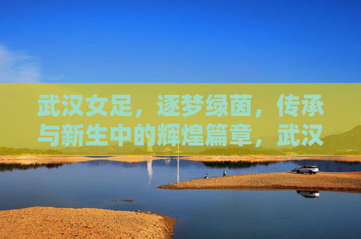 武汉女足，逐梦绿茵，传承与新生中的辉煌篇章，武汉女足，逐梦绿茵，传承与新生中的辉煌篇章