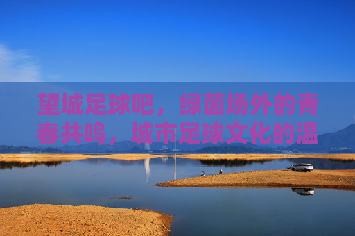 望城足球吧,绿茵场外的青春共鸣,城市足球文化的温度坐标,望城足球吧,绿茵场外的青春共鸣,城市足球文化的温度坐标