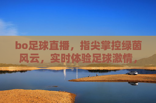 bo足球直播，指尖掌控绿茵风云，实时体验足球激情，bo足球直播，指尖掌控绿茵风云，实时体验足球激情