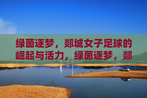 绿茵逐梦，郯城女子足球的崛起与活力，绿茵逐梦，郯城女子足球的崛起与活力