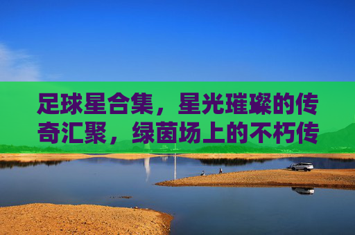 足球星合集，星光璀璨的传奇汇聚，绿茵场上的不朽传奇与未来新星，足球星传奇汇聚，不朽传奇与未来新星闪耀绿茵场的星光璀璨