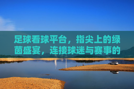 足球看球平台，指尖上的绿茵盛宴，连接球迷与赛事的数字桥梁