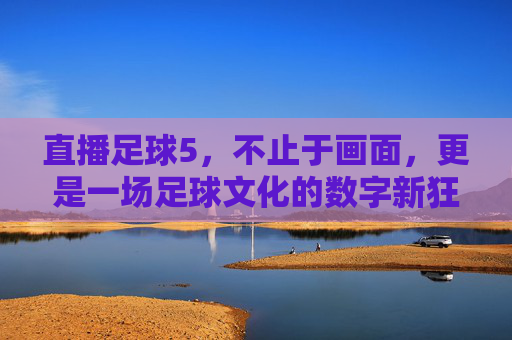 直播足球5，不止于画面，更是一场足球文化的数字新狂欢