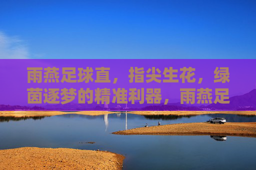 雨燕足球直,指尖生花,绿茵逐梦的精准利器,雨燕足球直,指尖生花,绿茵逐梦的精准利器