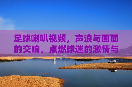 足球喇叭视频，声浪与画面的交响，点燃球迷的激情与共鸣