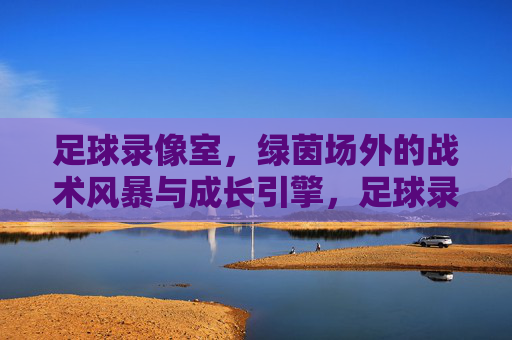 足球录像室,绿茵场外的战术风暴与成长引擎,足球录像室,绿茵场外的战术风暴与成长引擎