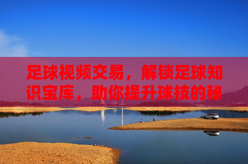 足球视频交易,解锁足球知识宝库,助你提升球技的秘籍