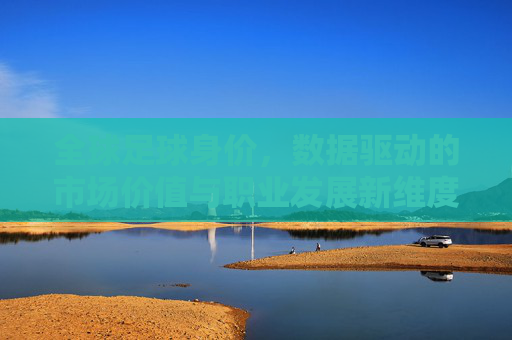 全球足球身价,数据驱动的市场价值与职业发展新维度,全球足球身价,数据驱动的市场价值与职业发展新维度