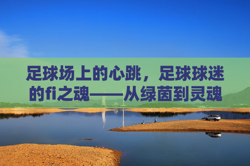 足球场上的心跳，足球球迷的fi之魂——从绿茵到灵魂的共鸣，足球场上的心跳，足球球迷的fi之魂——从绿茵到灵魂的共鸣