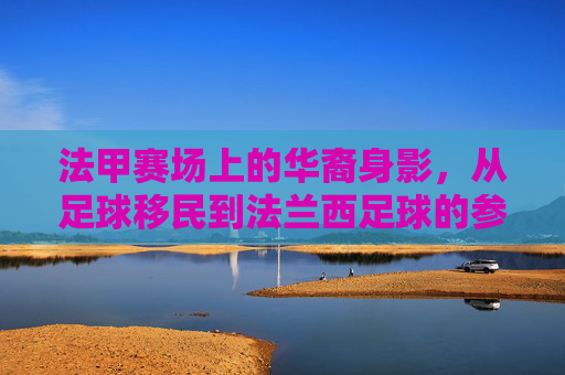 法甲赛场上的华裔身影,从足球移民到法兰西足球的参与者,法甲赛场上的华裔身影,从足球移民到法兰西足球的参与者