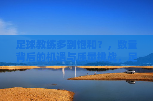 足球教练多到饱和?,数量背后的机遇与质量挑战,足球教练饱和现状,数量背后的机遇与质量挑战