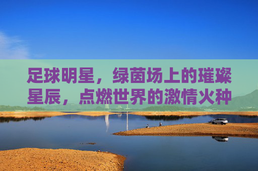 足球明星，绿茵场上的璀璨星辰，点燃世界的激情火种，足球明星，绿茵场上的璀璨星辰，点燃世界的激情火种
