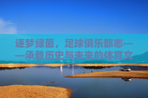 逐梦绿茵,足球俱乐部志——承载历史与未来的体育文化瑰宝