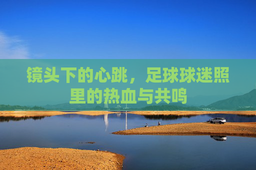 镜头下的心跳，足球球迷照里的热血与共鸣